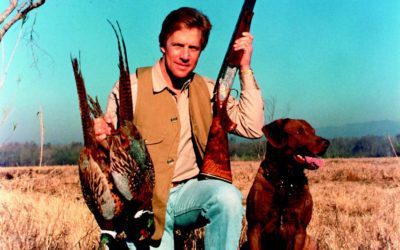 Chesapeake Bay Retriever: A Plain Great Dog