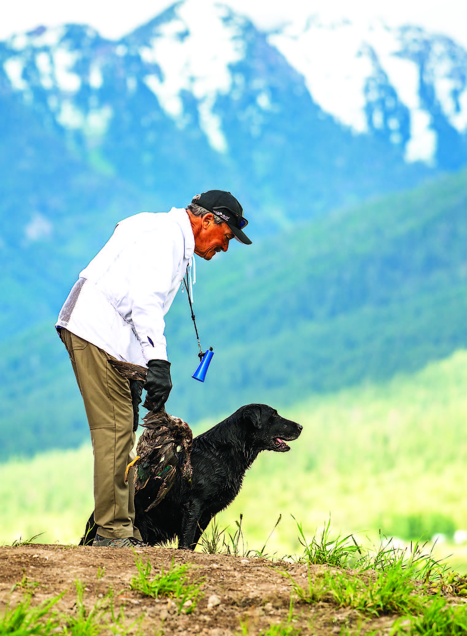 black lab with trainer