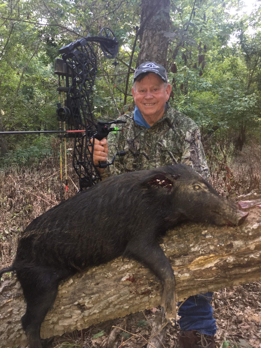bowhunter with feral hog