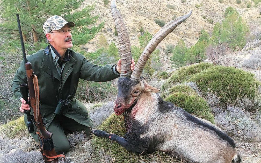 Joining The Ancient Club Of Ibex Hunters In Spain