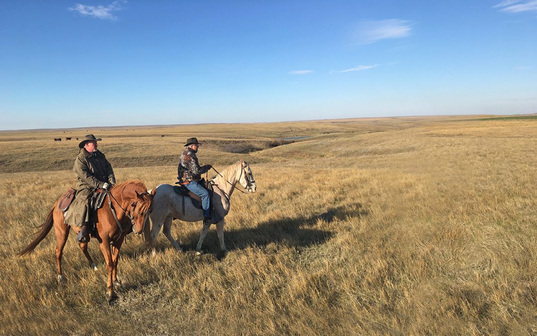 Prairie Wings 