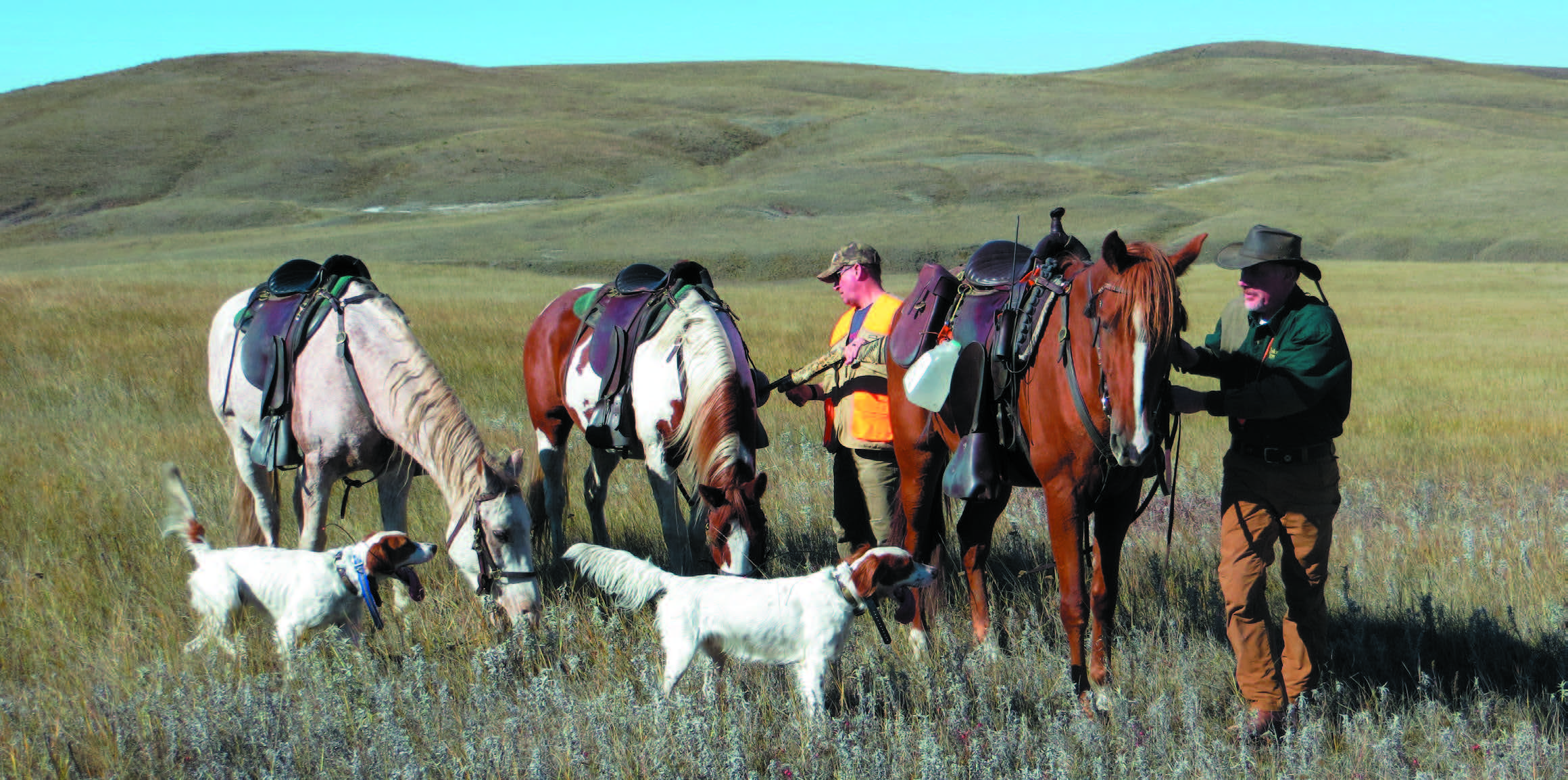 bird hunters with dogs and horses