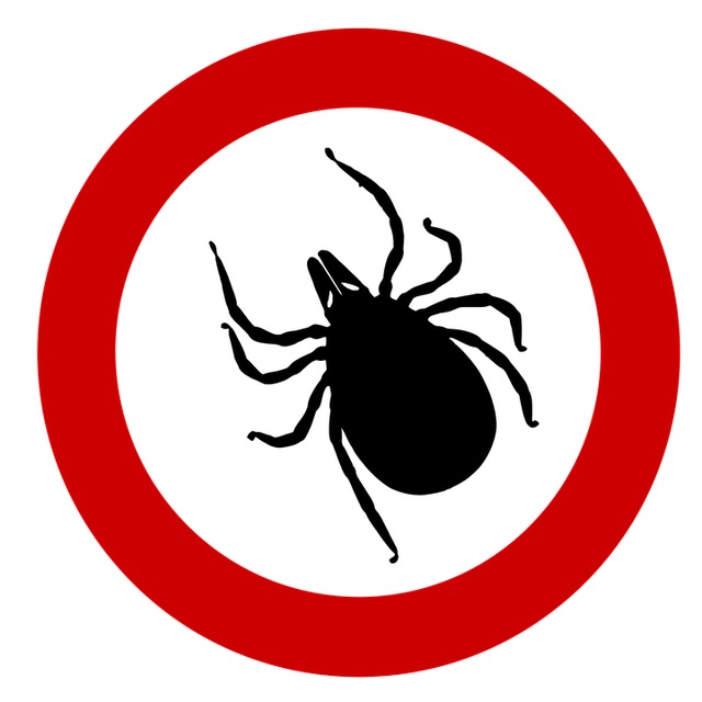 tick illustration