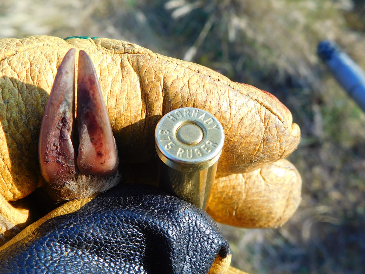 The .375 Ruger is the best round to hunt with