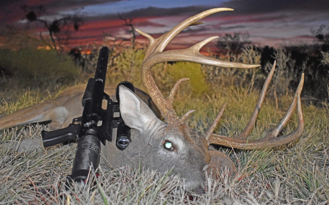 First Deer With An Airgun