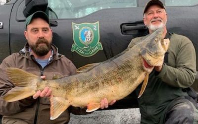 State Record Lake Trout Caught in Northern New Hampshire