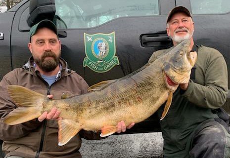 State Record Lake Trout Caught in Northern New Hampshire
