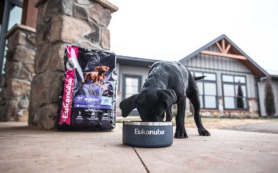 Eukanuba Puppy Formulas For Sporting Breeds