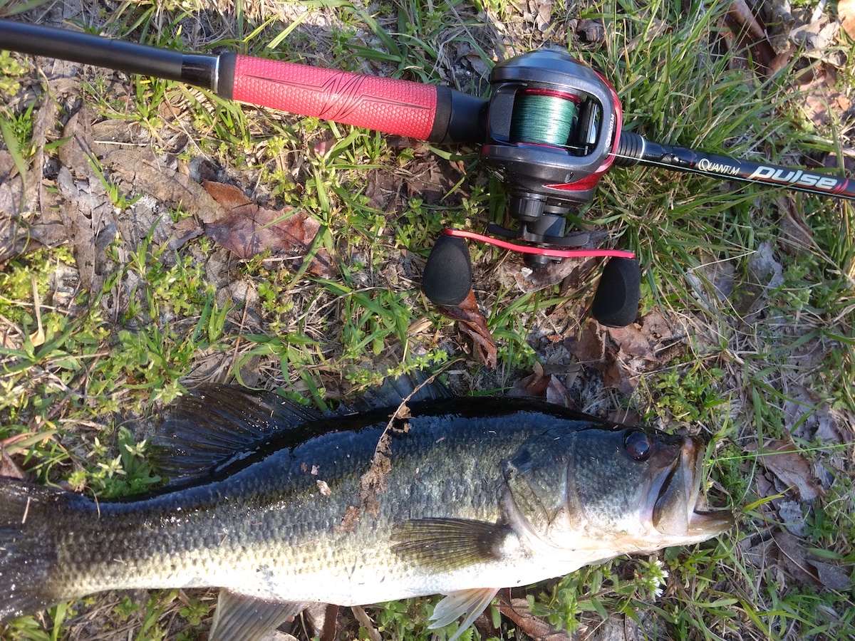 I Should Have Used a BAITCASTER!! Losing Bass On Light Tackle Fishing -  Realistic Fishing