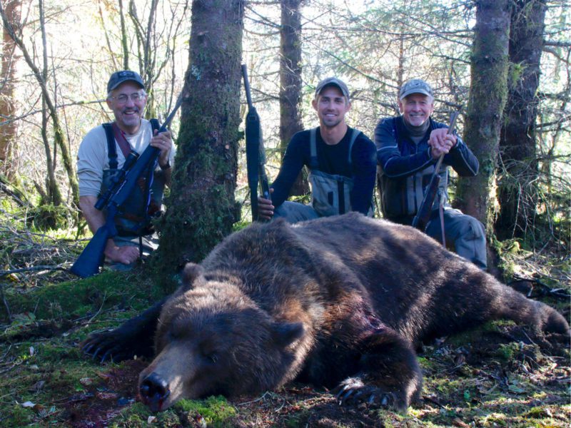 Bear kill in Alaska