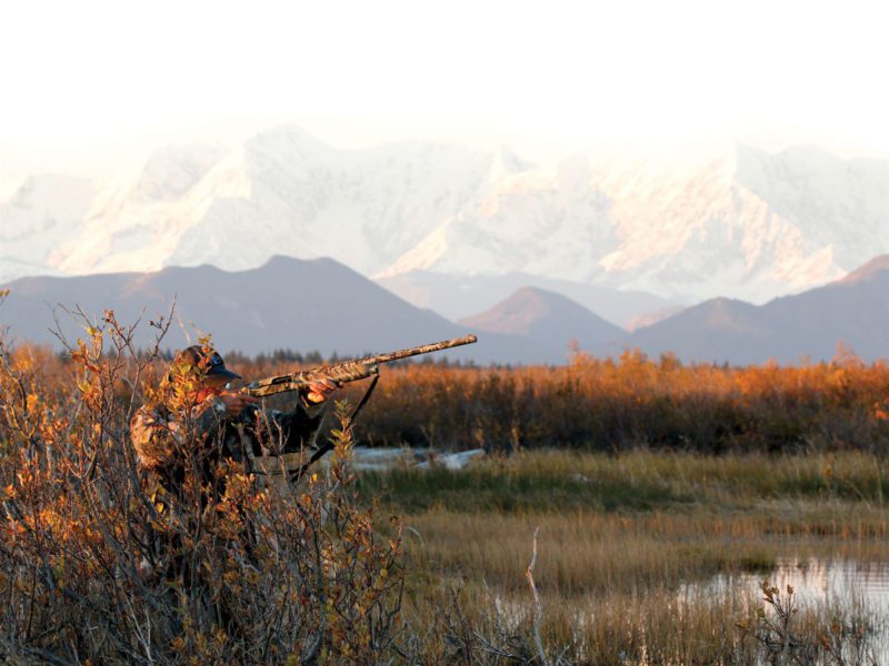 Bear hunting in Alaska