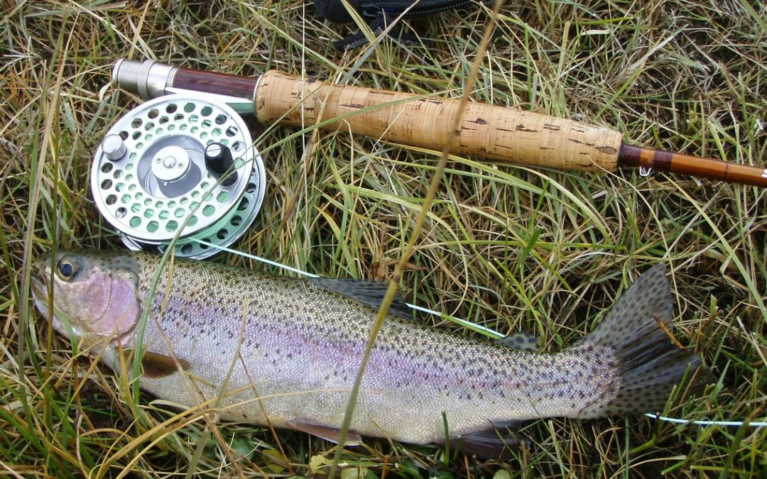 Rainbow Trout Stockings Scheduled