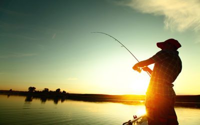 How to Find Great Fishing in Minnesota