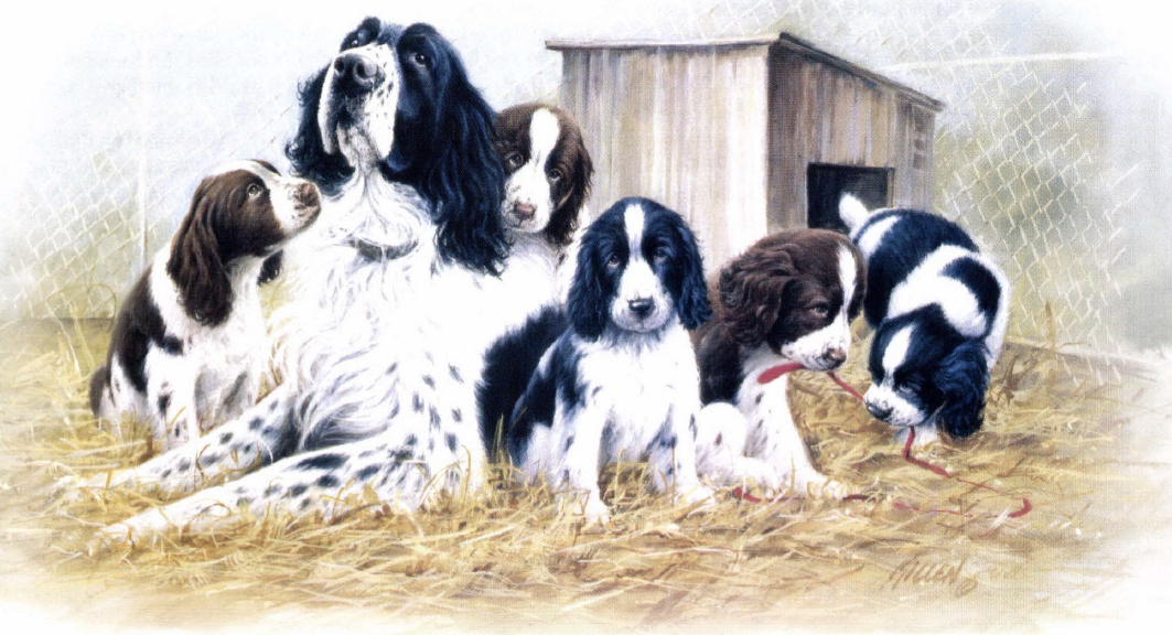 Jim Killen painting gundogs