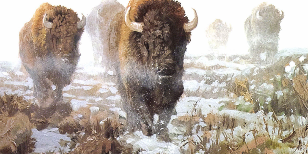 buffalo in snow painting