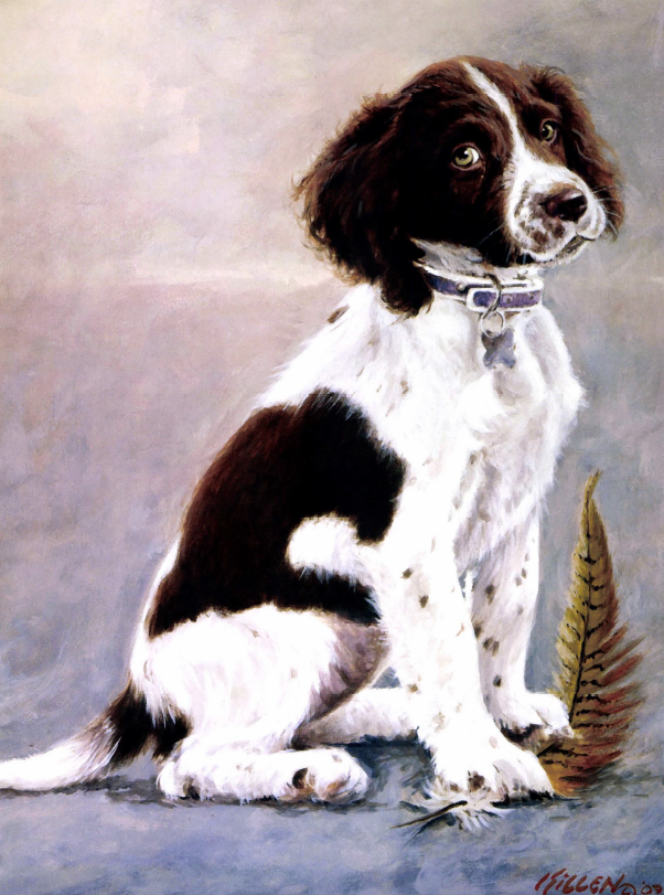 Jim Killen spaniel painting