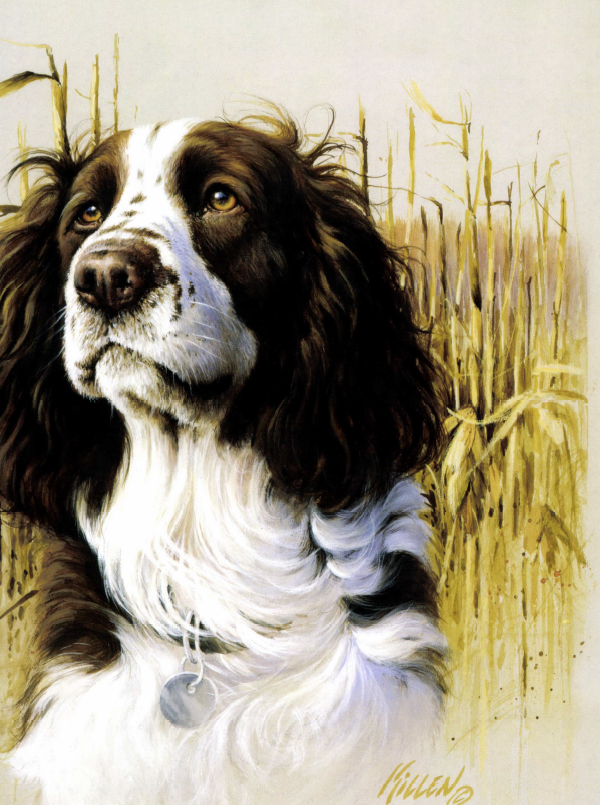 Jim Killen spaniel painting