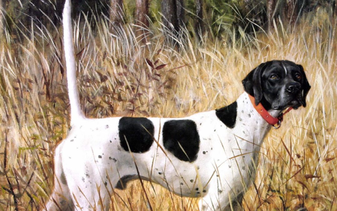 New Hunting Breeds—Dogo Argentino - Sporting Classics Daily