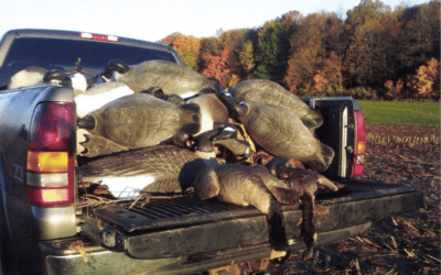 Rust and Redemption: A Goose-Hunting Revival