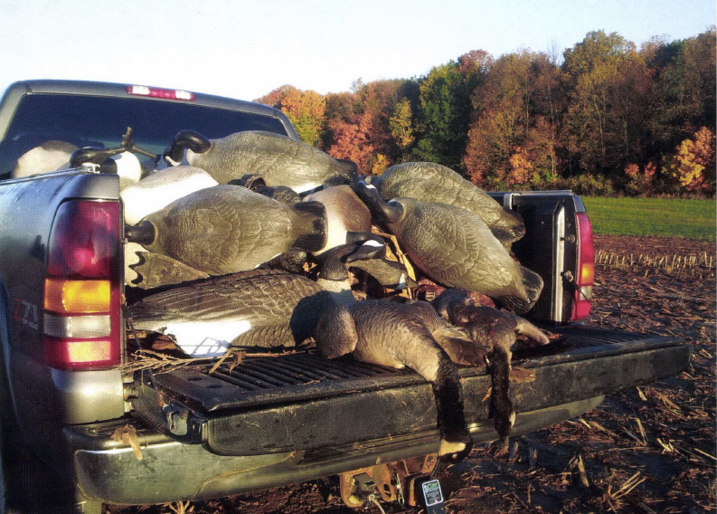 Rust and Redemption: A Goose-Hunting Revival