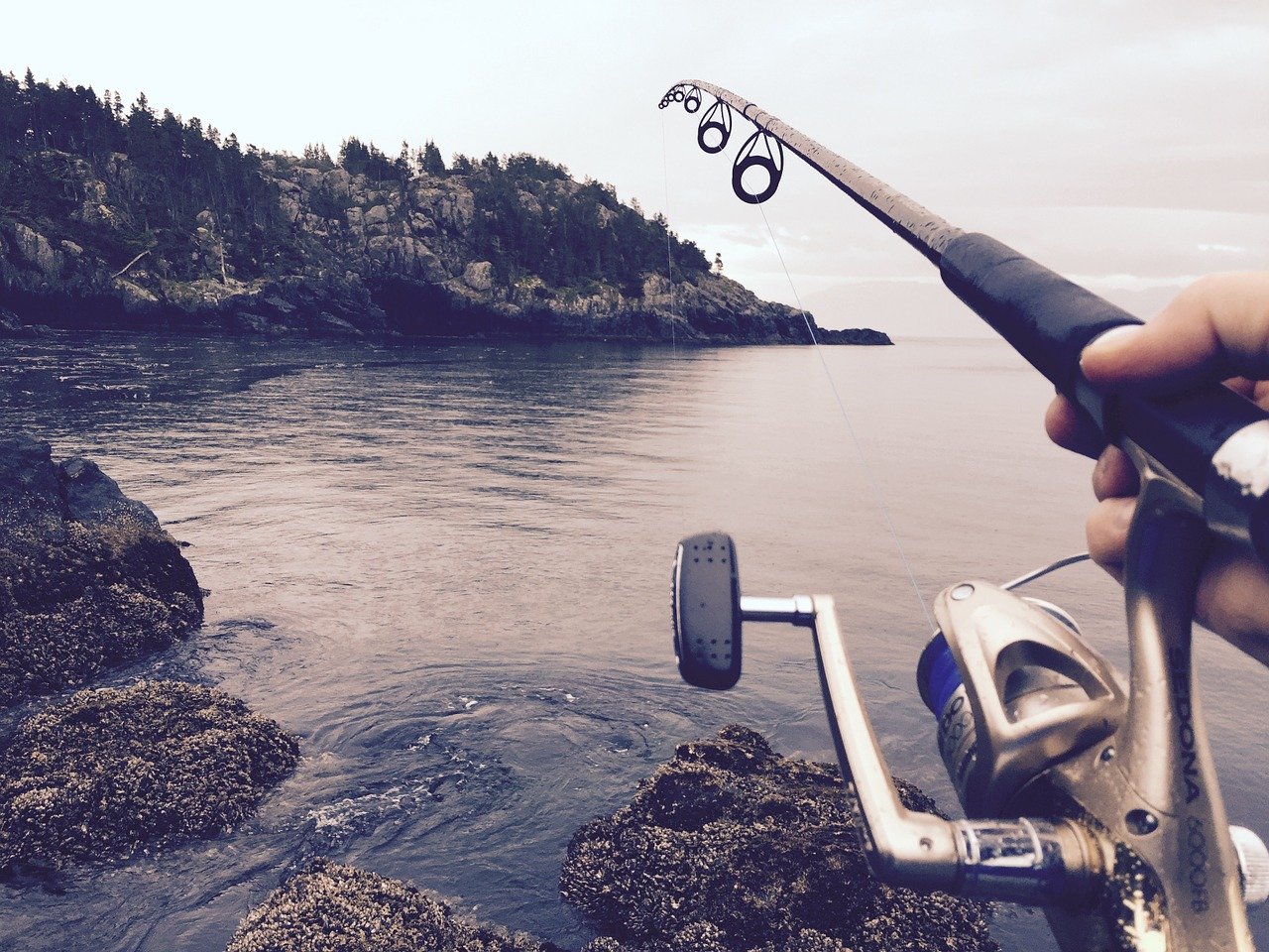 fishing rod on lake