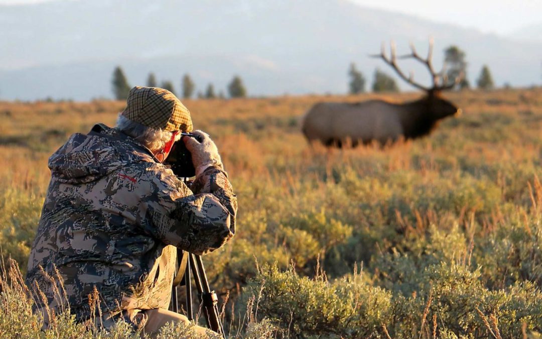 Wyoming Wildlife Calendar Photo Contest Opens May 4