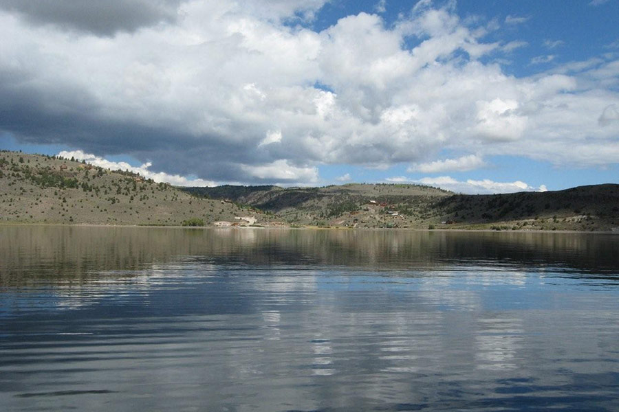 Utah Biologists Discover Illegally Introduced Fish