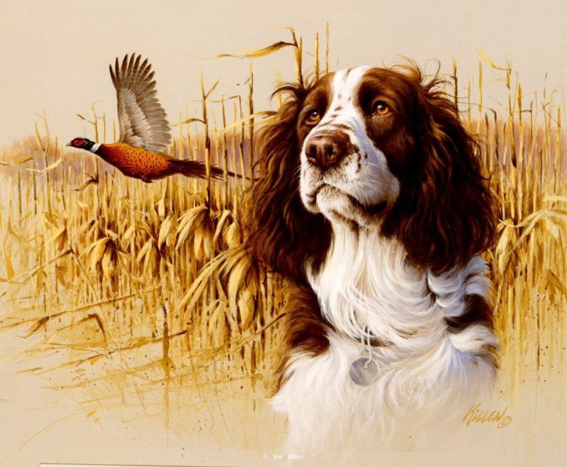 Jim Killen spaniel painting