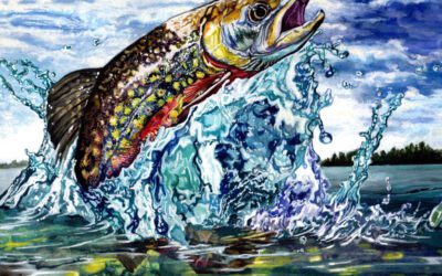 Wildlife Forever Announces the Winners of the 2020 State-Fish Art Contest