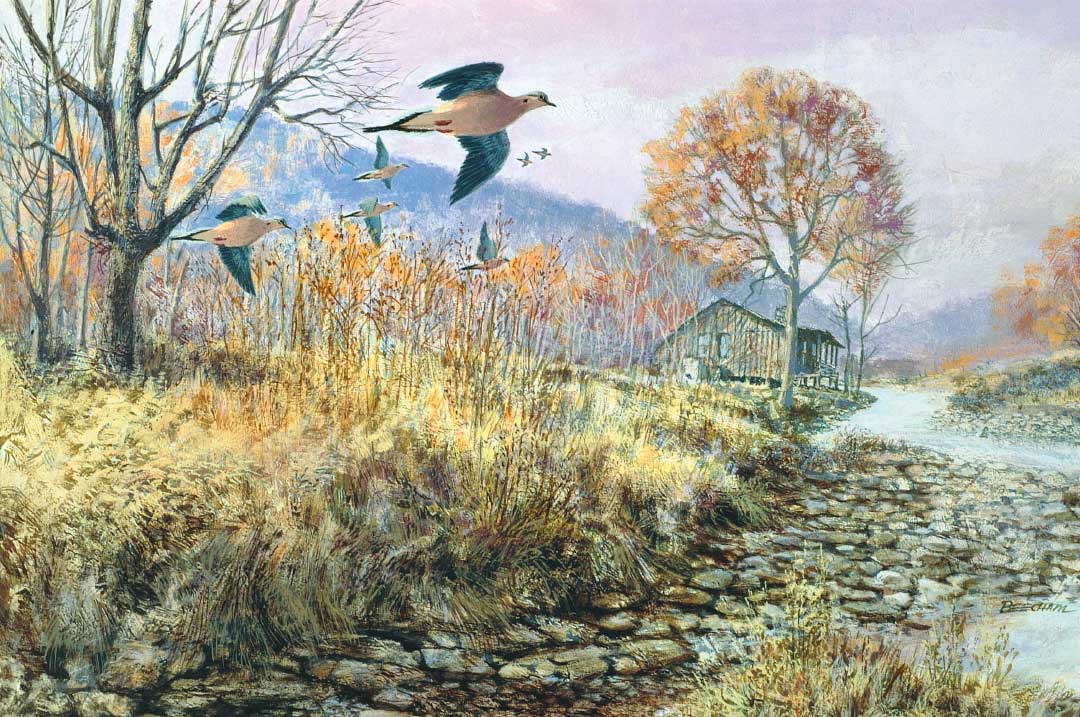 The Waterhole