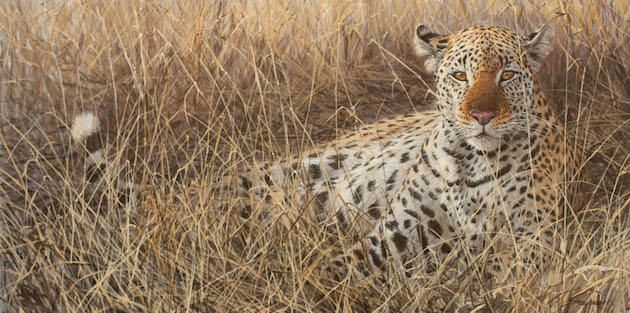 john seerey-lester leopard painting