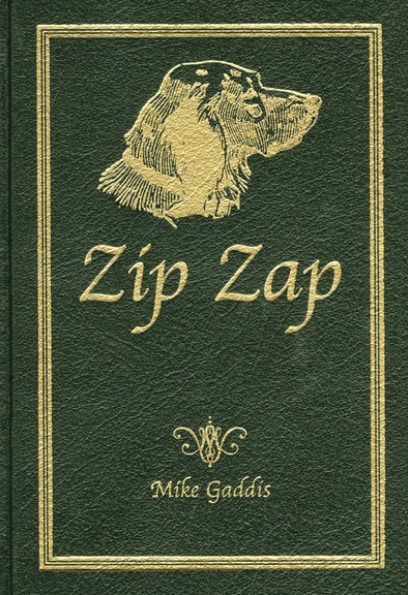 Zip-Zap book cover