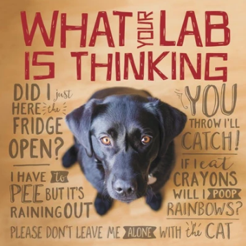 lab thinking book cover