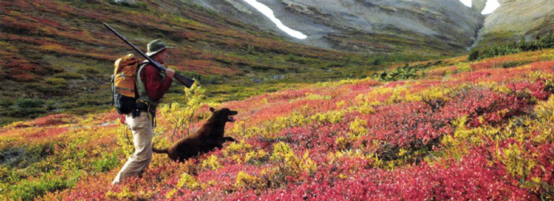 hunter with chocolate lab in field