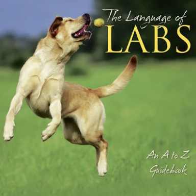 labs book cover