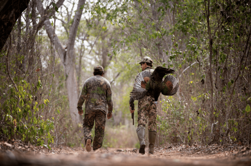 ocellated turkey hunter and guide