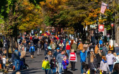 Maryland Waterfowl Festival Postponed Until 2021