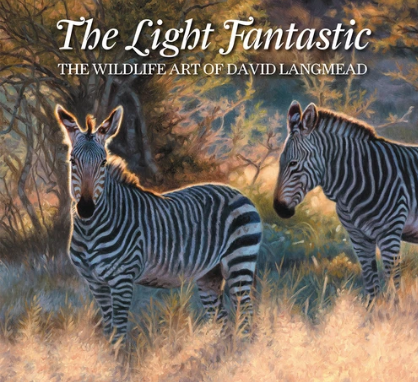 light fantastic art book cover