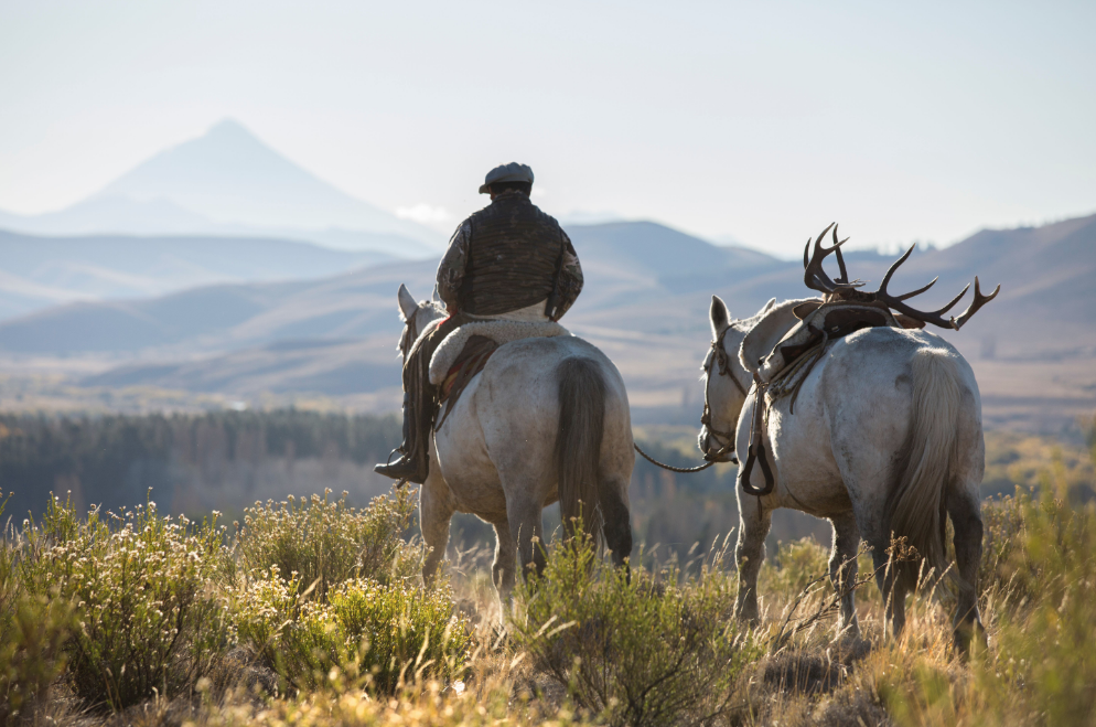 The Outdoorsman’s Playground