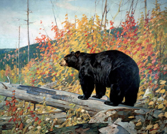 black bear in woods painting