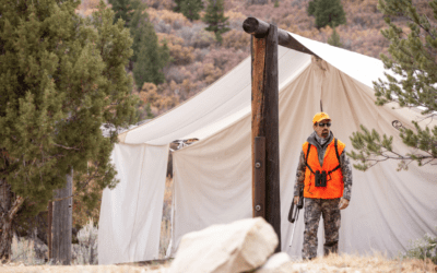 High Altitude Elk & Low Light Hogs