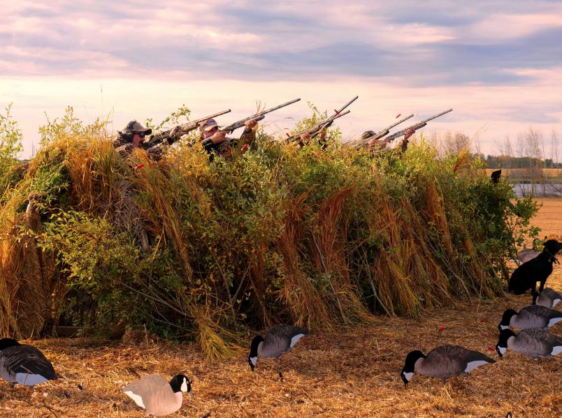 goose hunters in blind