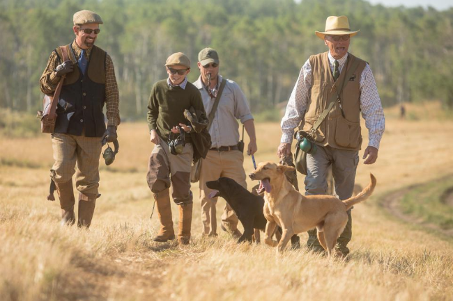 european hunting with dogs