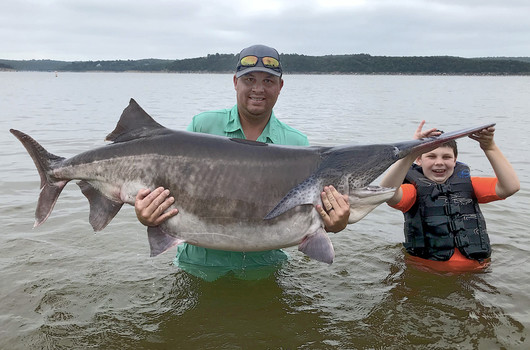 New World Record Paddlefish Hauled From Keystone Lake — Again!