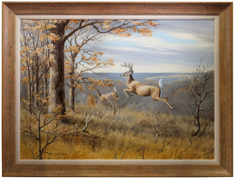maynard reese whitetail deer painting