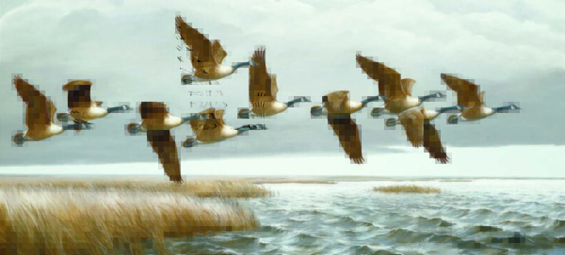 maynard reece geese flying painting