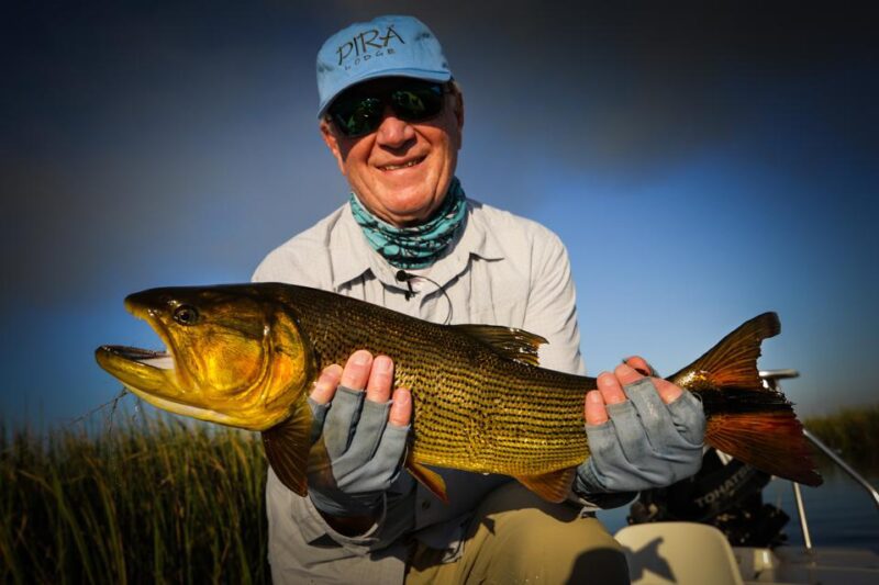 fly fisherman with dorado