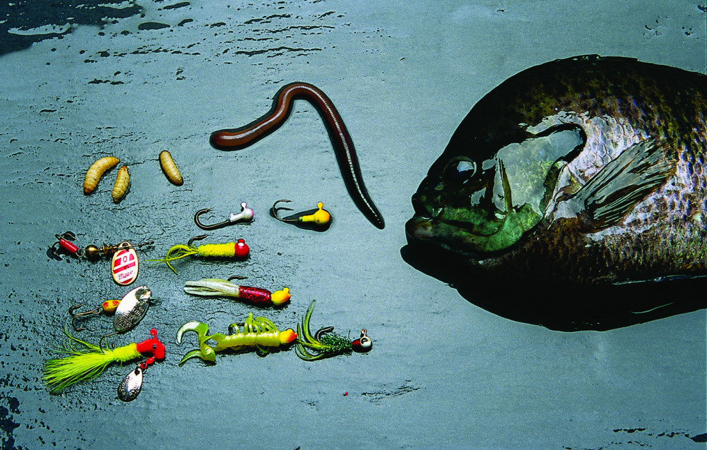 Choosing the Right Bait for Your Fish - Sporting Classics Daily