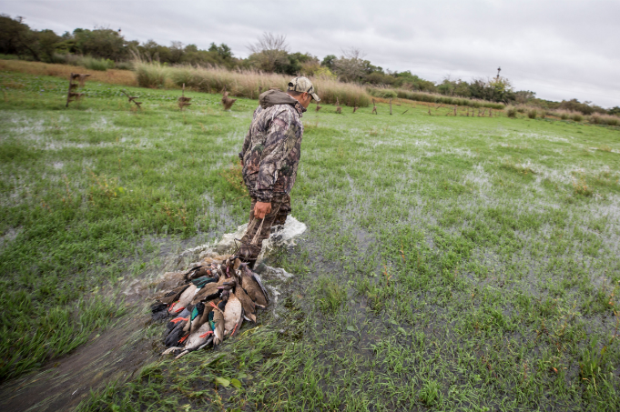 hunter with ducks in water