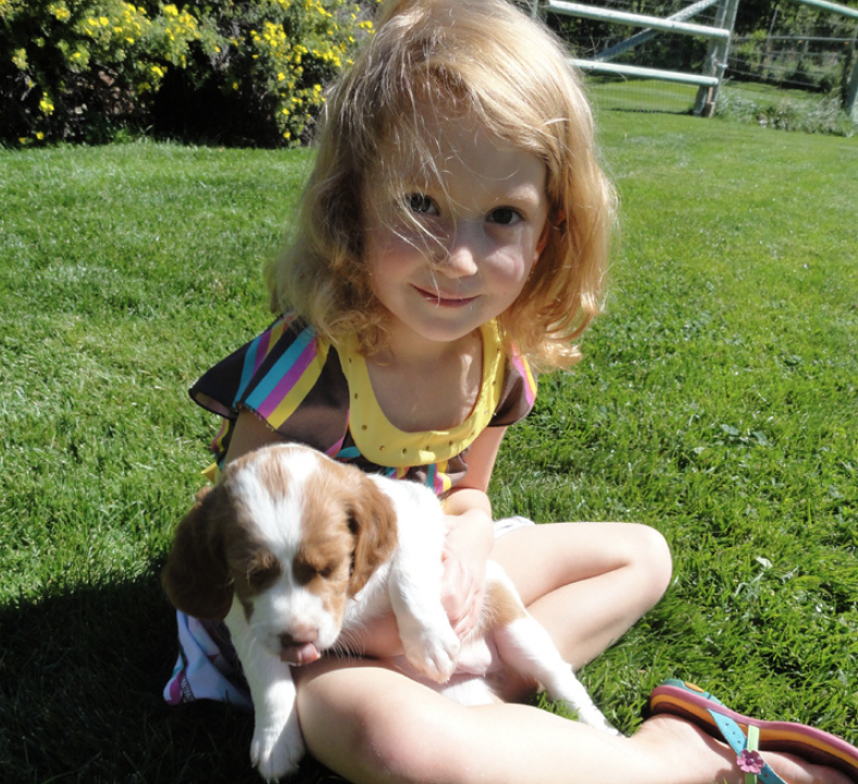 young girl with brittany puppy